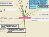 Sample Mind Map