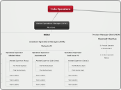 Org Chart