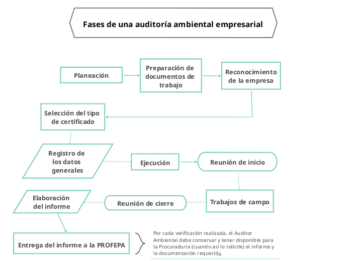 Fases de una auditoría ambiental empresarial