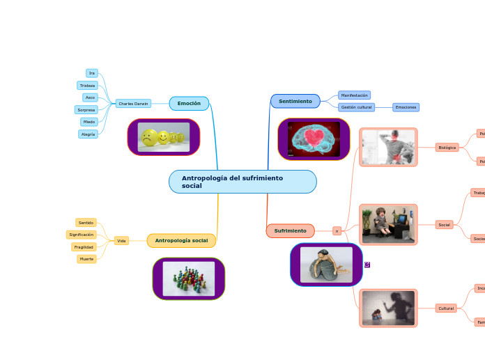 Antropología del sufrimiento social