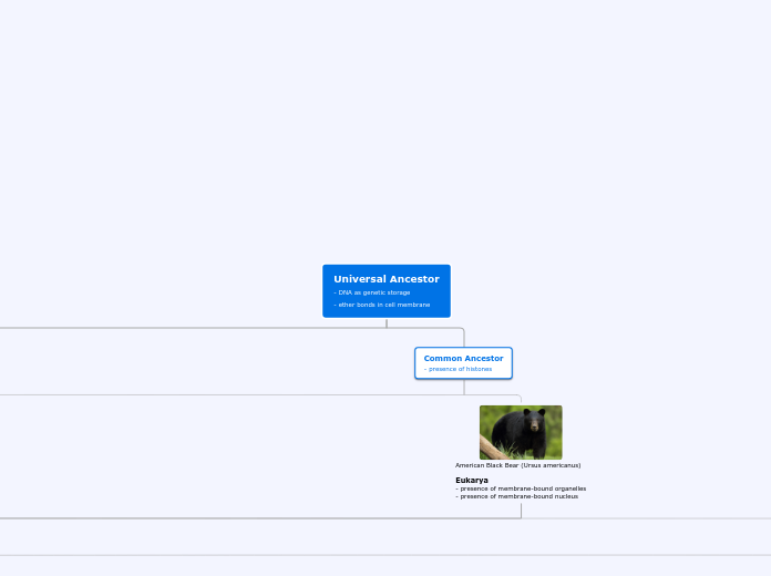 Tree organigram