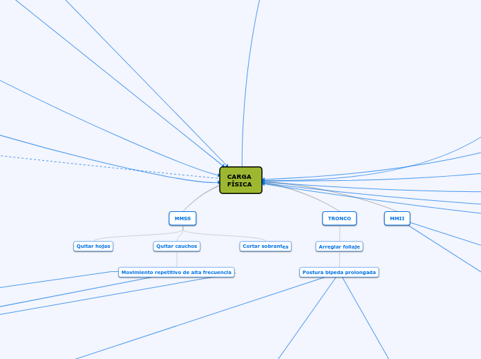 CARGA FÍSICA - Mapa Mental