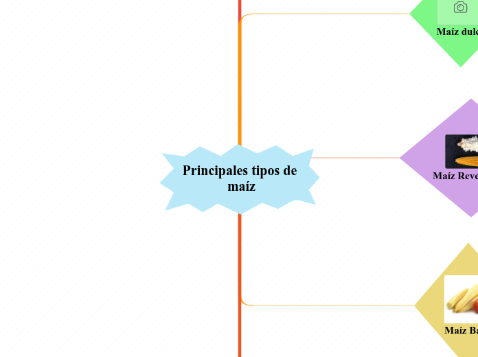 Principales tipos de maíz