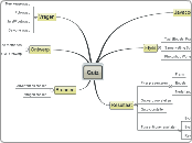 Mindmap_Quiz_Projecten1