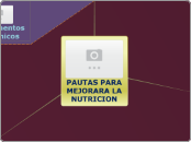 PAUTAS PARA MEJORARA LA NUTRICION - Mapa Mental