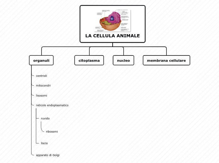 Organigramma ad albero