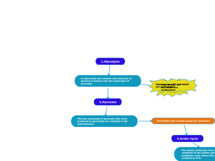 In glycolysis and enzyme one molecule of glucose is broken into two molecules of pyruvate.