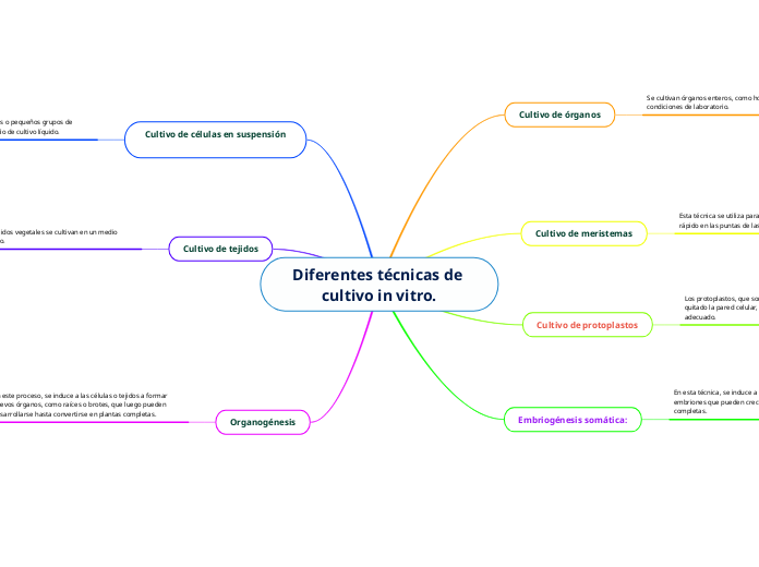 Diferentes técnicas de cultivo in vitro.