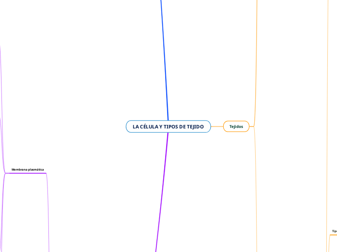 LA CÉLULA Y TIPOS DE TEJIDO