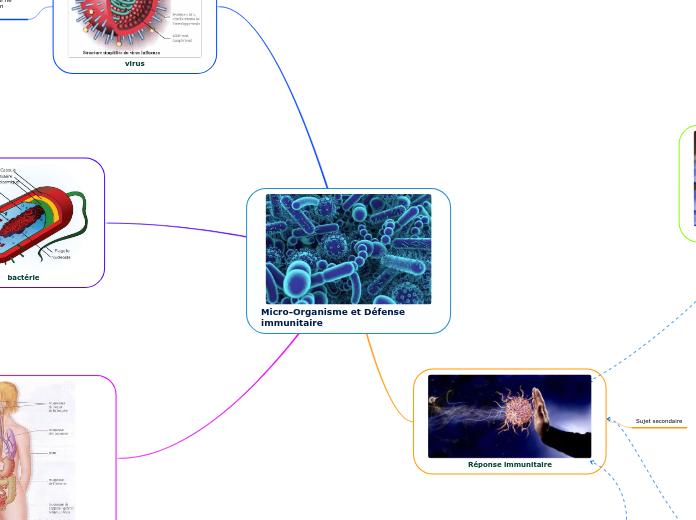 Micro-Organisme et Défense immunitaire