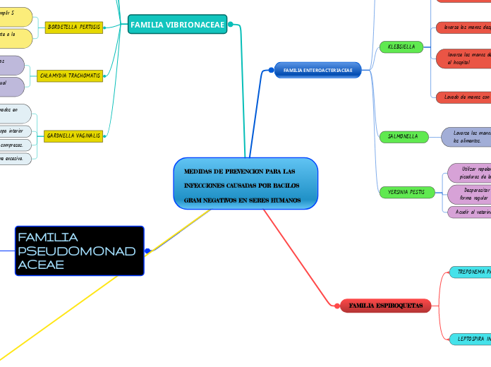 MEDIDAS DE PREVENCION PARA LAS INFECCIONES CAUSADAS POR BACILOS GRAM NEGATIVOS EN SERES HUMANOS