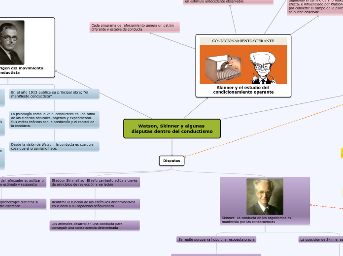 Watson, Skinner y algunas disputas dentro del conductismo