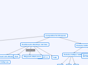 Composicion Corporal - Mapa Mental