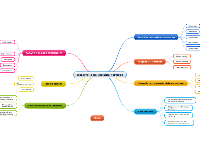 Desarrollo del sistema nervioso