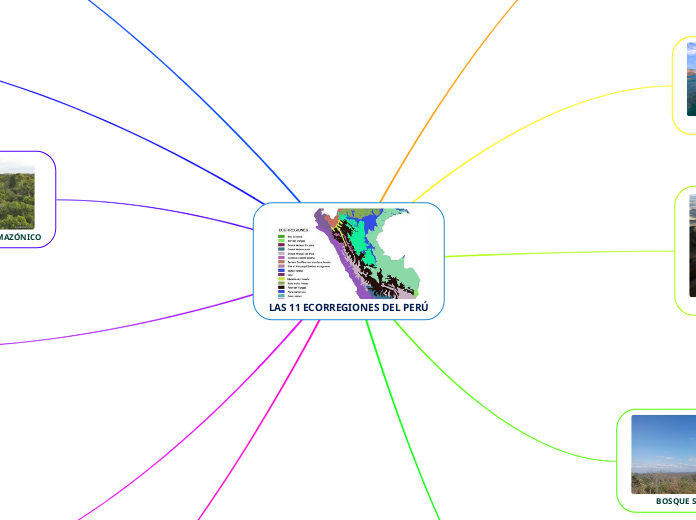 LAS 11 ECORREGIONES DEL PERÚ3