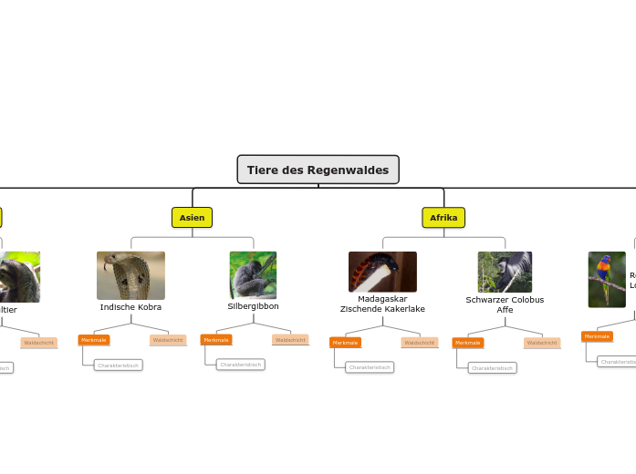 Tiere des Regenwaldes