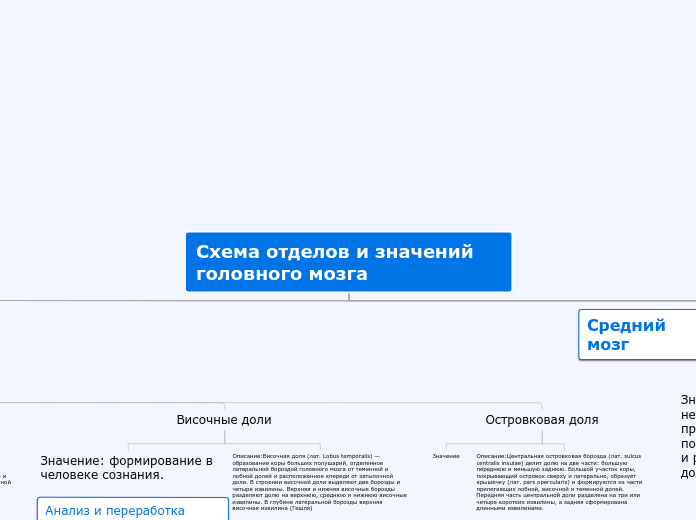 Схема отделов и значений головного мозга