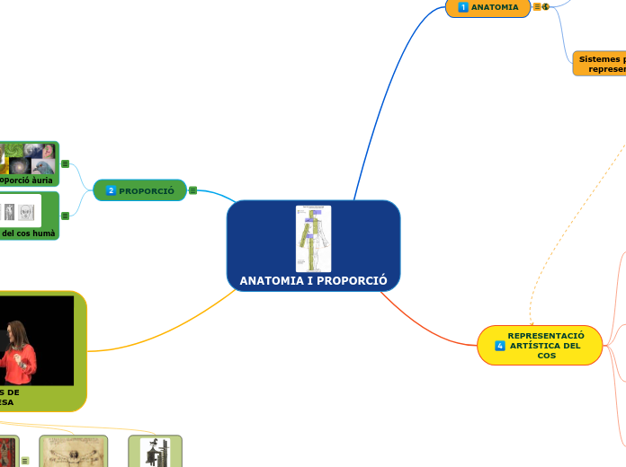 ANATOMIA I PROPORCIÓ