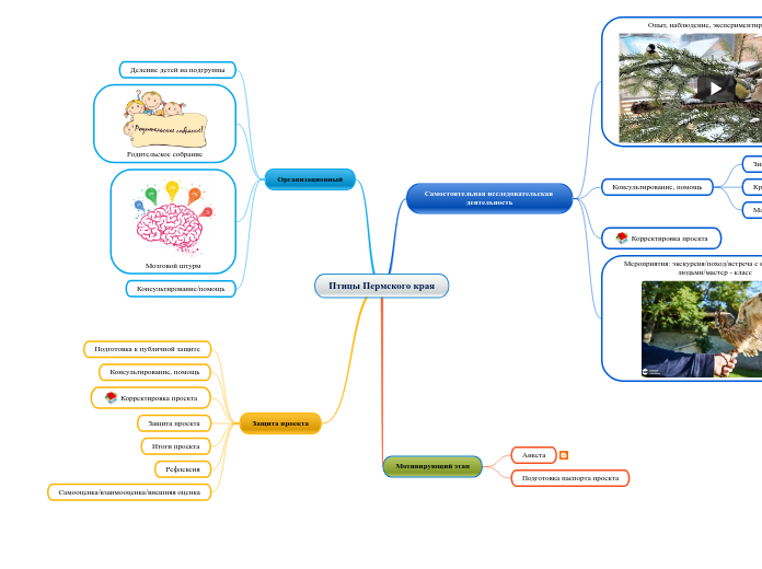 Птицы Пермского края - Мыслительная карта
