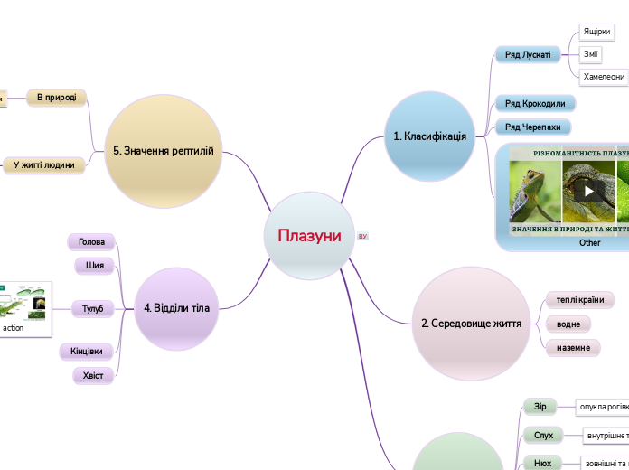 Плазуни - Мыслительная карта