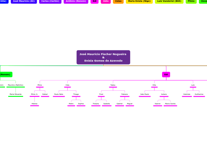 José Maurício Fischer Nogueira 
&amp;
E...- Mapa Mental