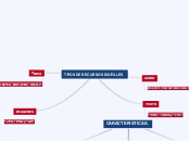 Mapa Mental Recursos Digitales