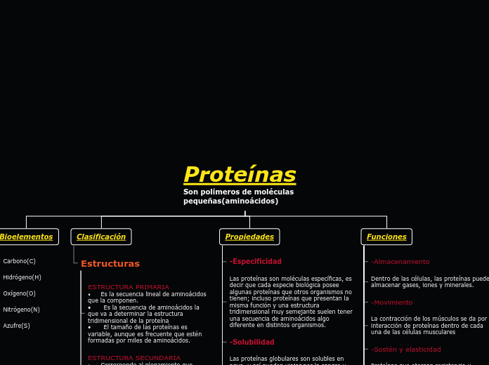 Proteínas
Son polímeros de moléculas pe...- Mapa Mental