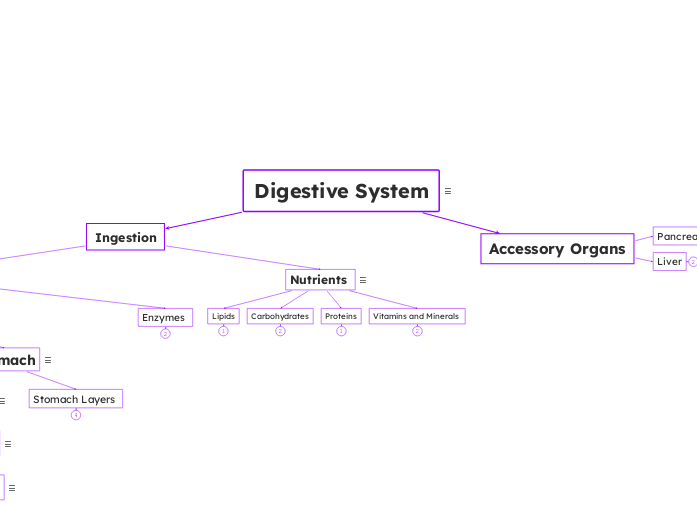 Digestive System