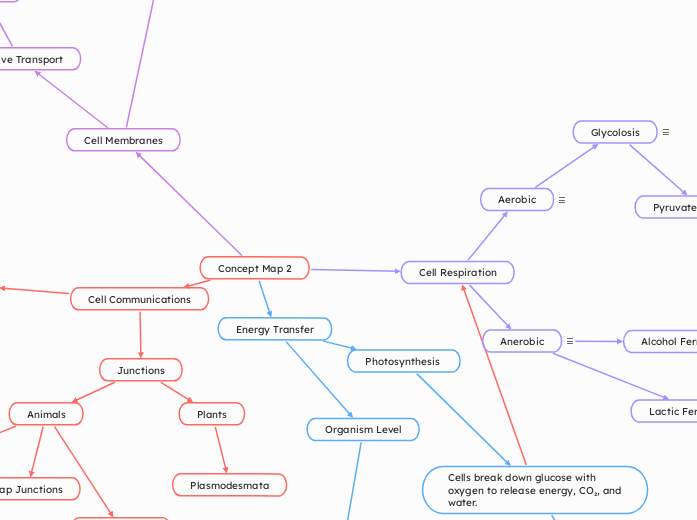 Concept Map 2