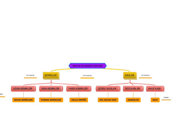 DESTEK VE HAREKET SİSTEMİ