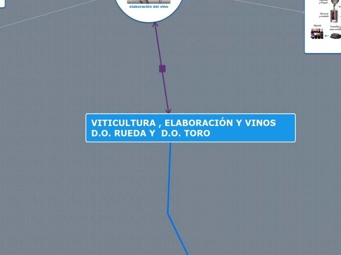 VITICULTURA , ELABORACIÓN Y VINOS  D.O. RUEDA Y  D.O. TORO