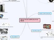 evolucion de las redes