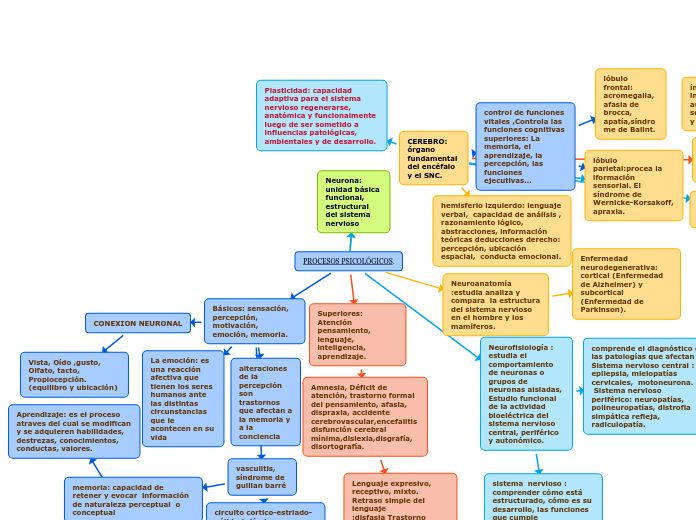 PROCESOS PSICOLÓGICOS.