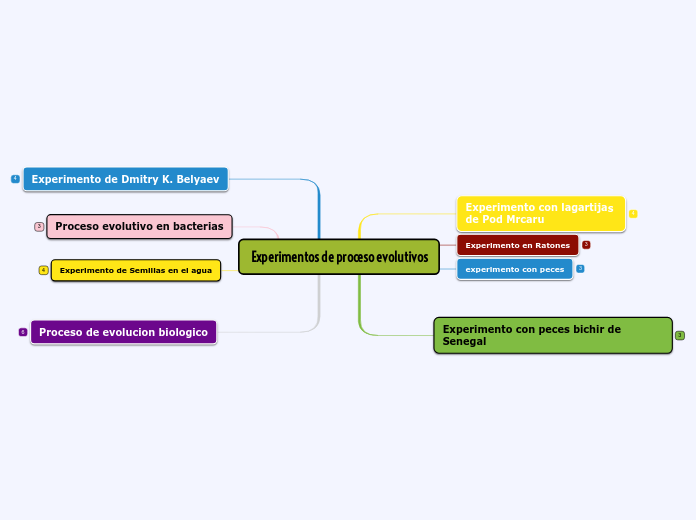 Experimentos de proceso evolutivos - Mapa Mental