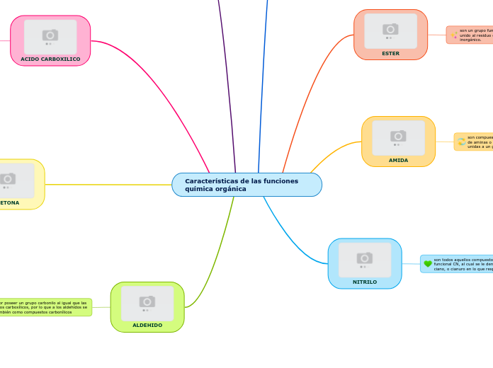 Características de las funciones química orgánica