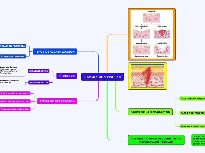 REPARACION TISULAR