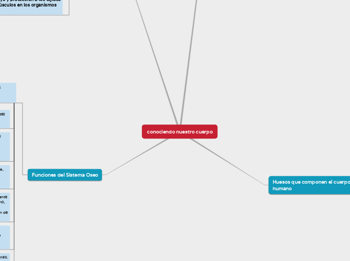 conociendo nuestro cuerpo - Mapa Mental