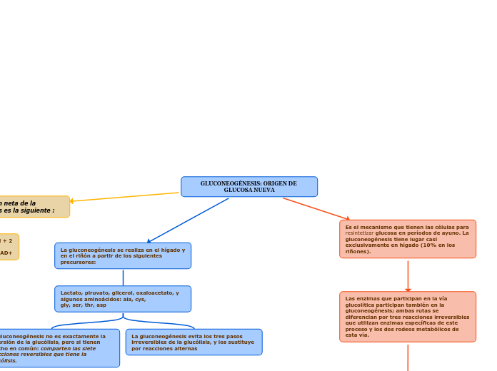 GLUCONEOGÉNESIS: ORIGEN DE GLUCOSA NUEVA