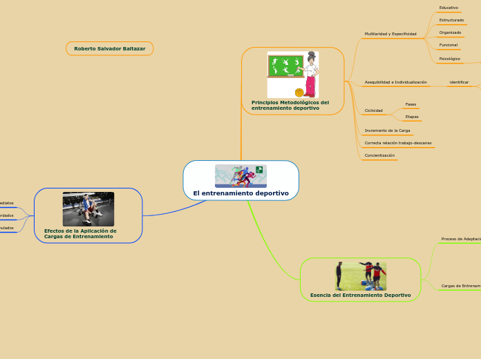 El entrenamiento deportivo - Mapa Mental