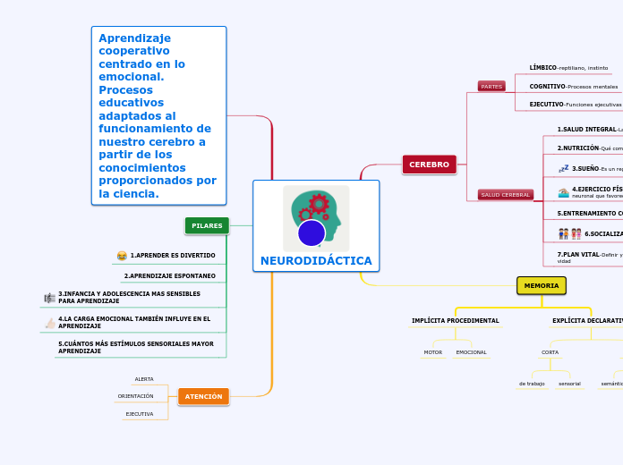 NEURODIDÁCTIA