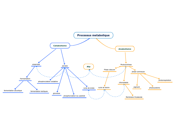 Processus metabolique