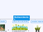 Medioambientes - Mapa Mental