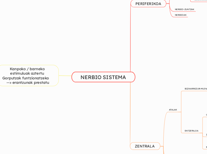 NERBIO SISTEMA