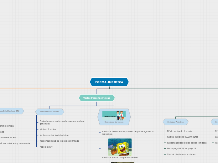 FORMA JURIDICA - Mapa Mental