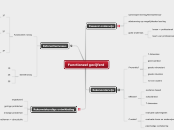 Functioneel gecijferd mindmap