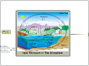 Heat Transport In The Biosphere - Mind Map