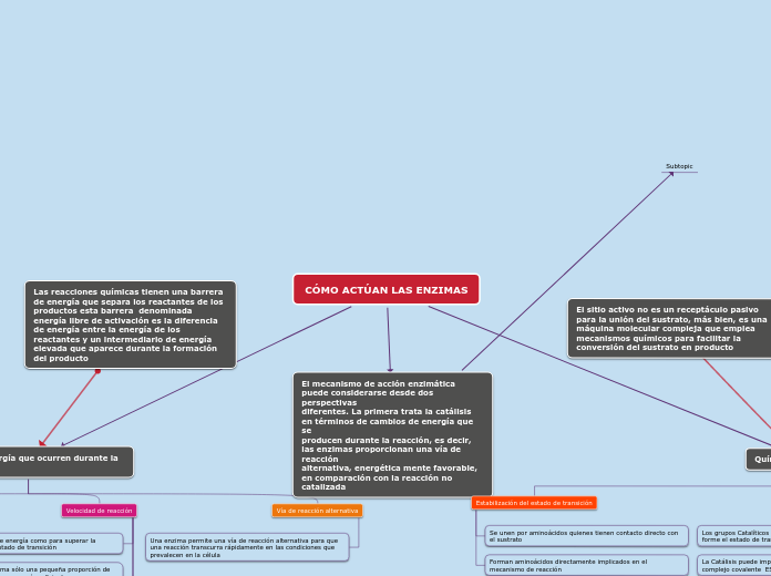 CÓMO ACTÚAN LAS ENZIMAS