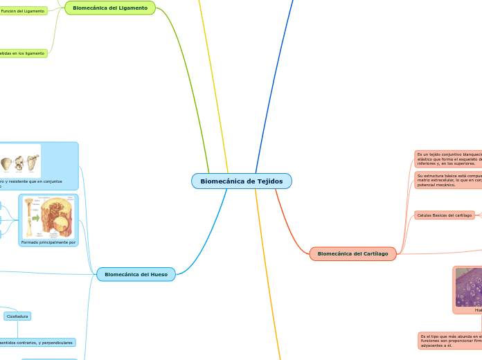Biomecánica de Tejidos