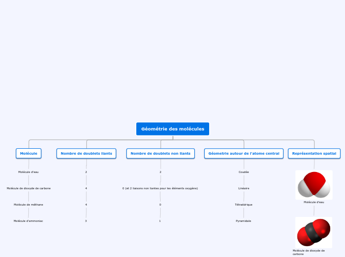 Organigramme