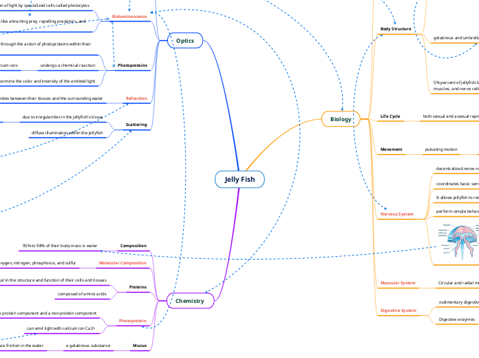 Bella Zhang - Summative Concept Map 